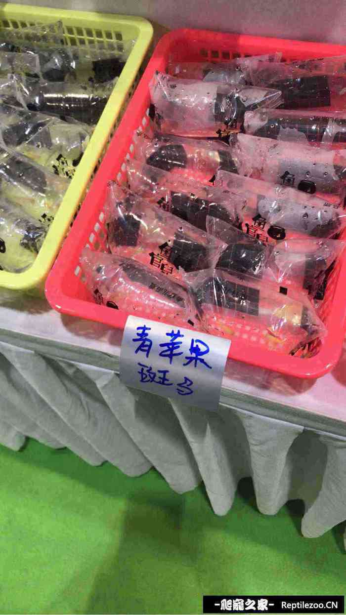 133321sjjqnt1af5naasaq.jpg