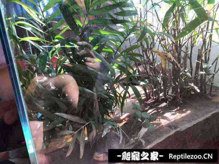 133510r6apppp9pmtmroez.jpg