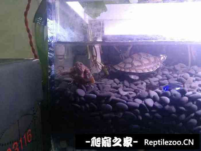133534tb8owww58dlwt333.jpg
