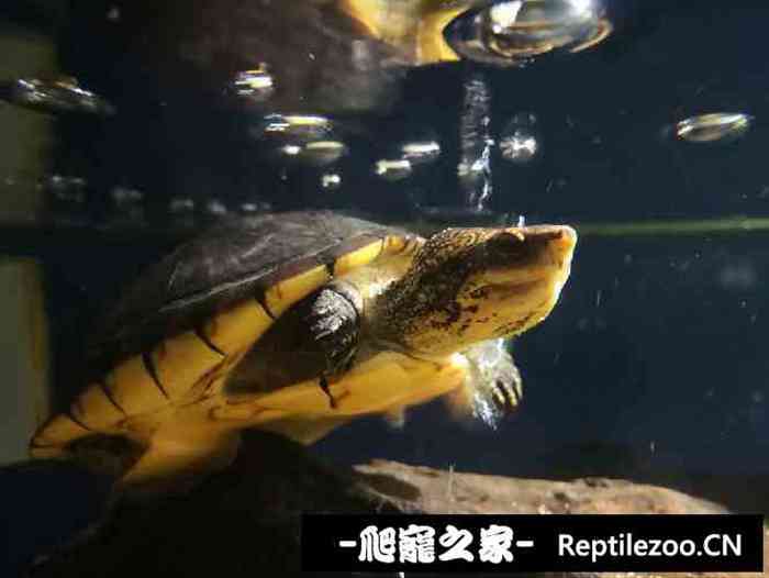 133836qhw22a72gdulhuwu.jpg