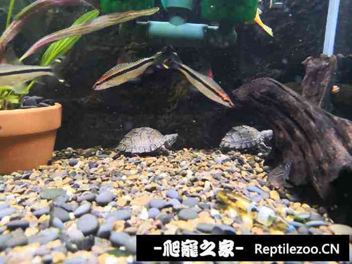 134045nxubnhxqqymxxnxs.jpg