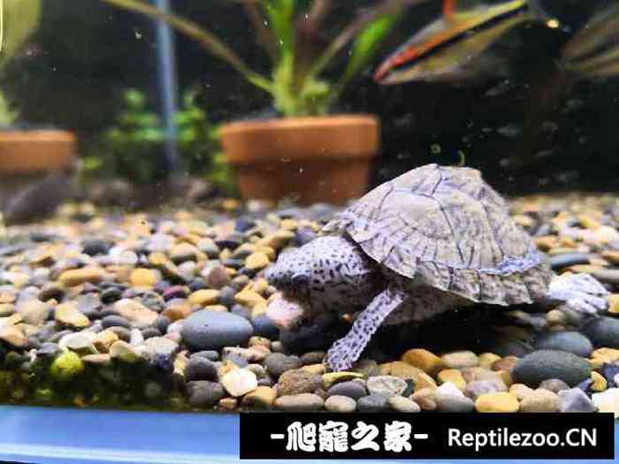 134045z760bi0p6hzhuxro.jpg