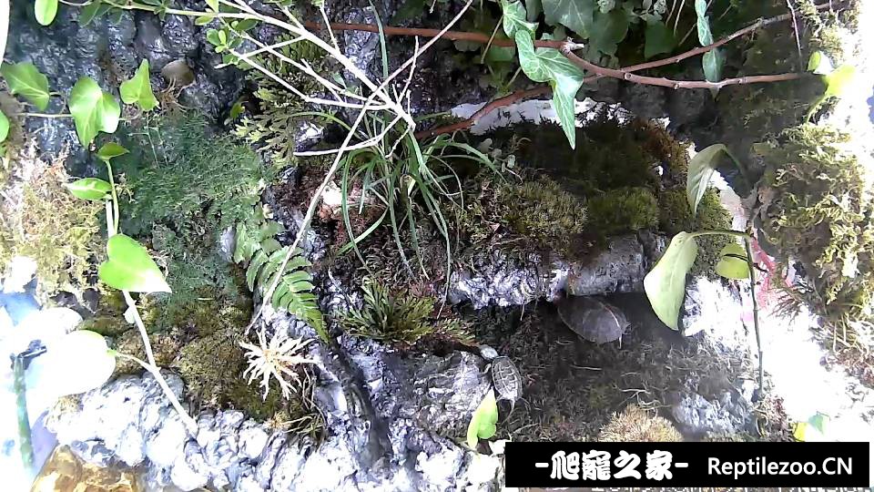 134118sz6uly79llut3fy5.png