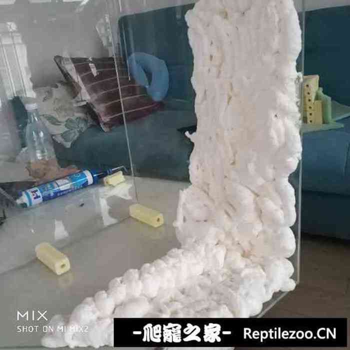 134122si8ccp7ccvnwpci8.jpg