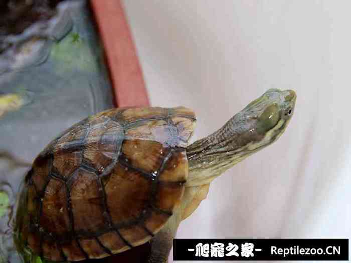 134251q8fg26o4q8kqsq8w.jpg