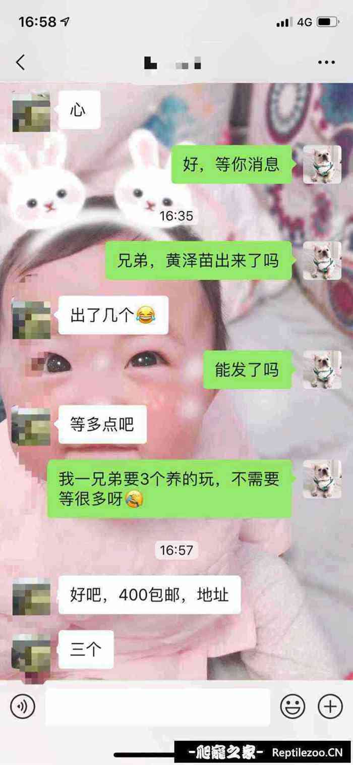 134353b78bunhmuh7ishts.jpg