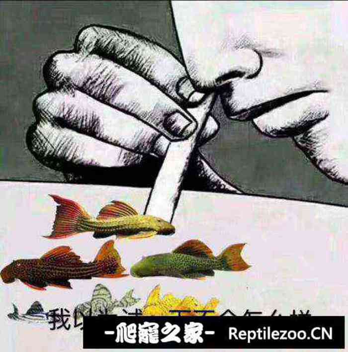 134416onnn1lldmzmzaeje.jpg