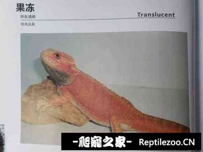 141311jslppppbdlksagkc.jpg