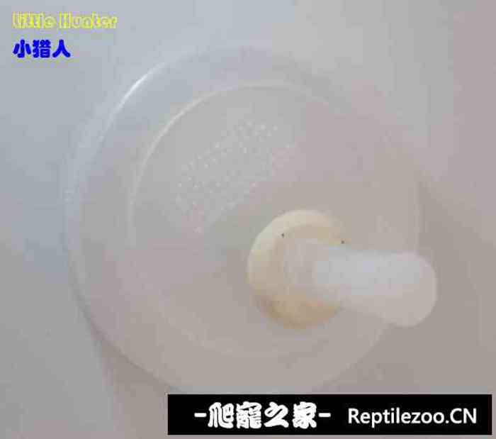 143446olz1zlzqvmgpgtbv.jpg