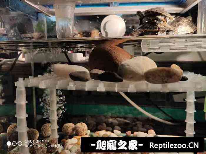 143921eh83qc07rrzc78bu.jpg