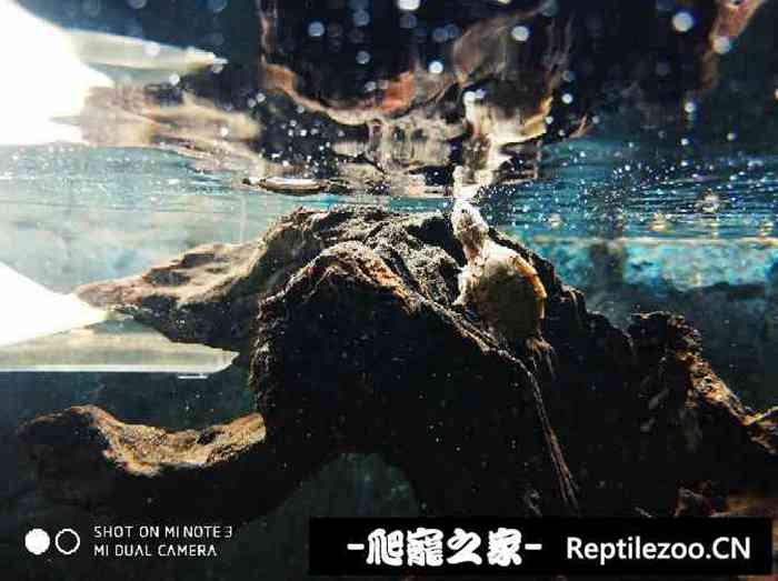 150623t85amqzhai9l9xe7.jpg