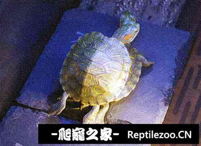 150824t31999199xll9g9x.jpg
