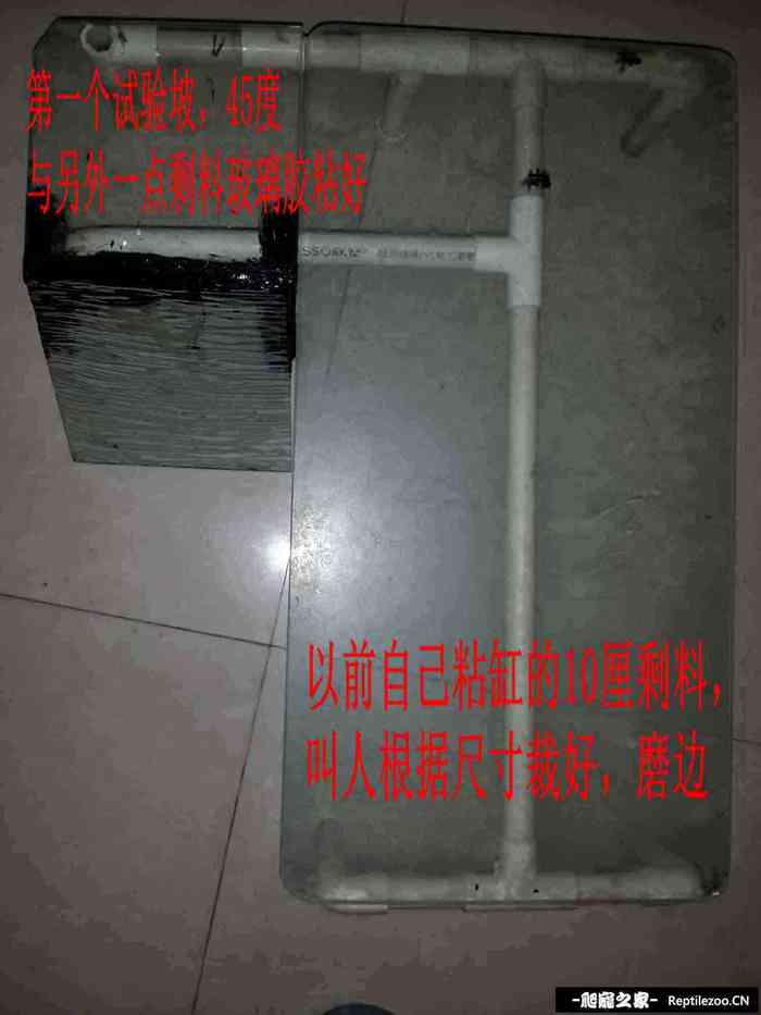151338mtdtftyf6odtu6yt.jpg