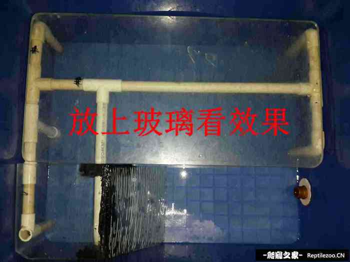 151340s3pkqmppmrqpo3pp.jpg
