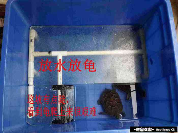 151341mcw84z51crdnb48o.jpg