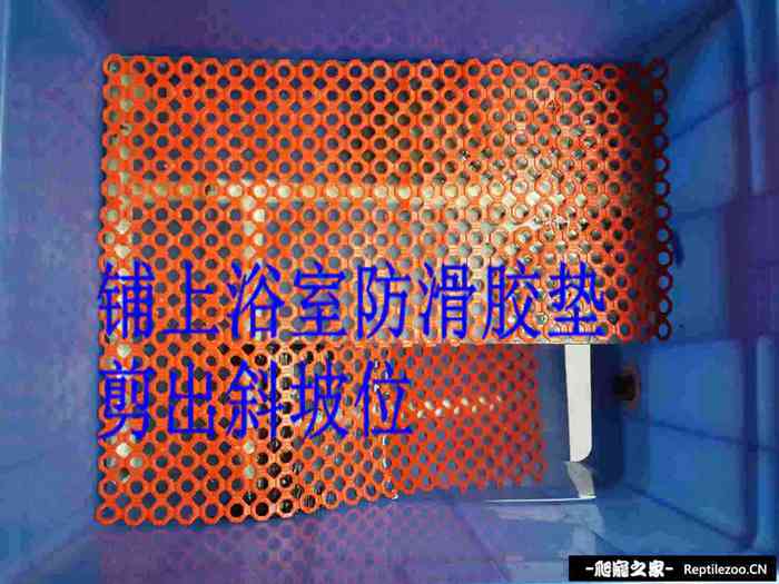 151343lqqqhw7ndlqvizdn.jpg