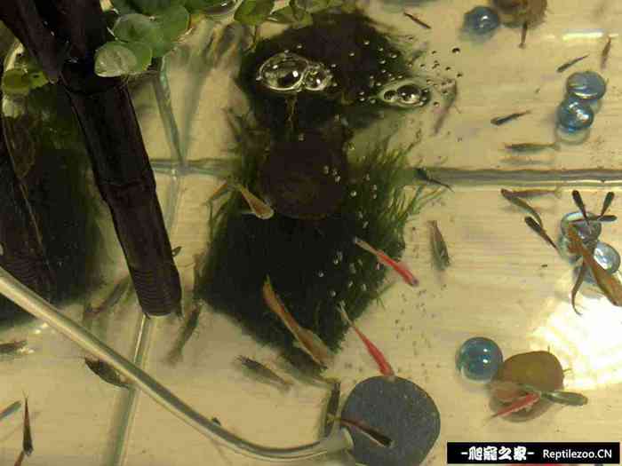 151420cccaug2l22ymlabm.jpg