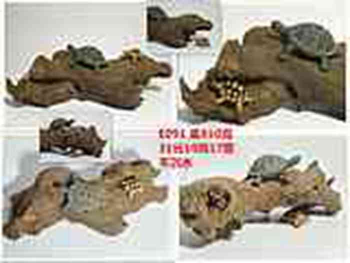 154253kmf33mocfdccqbb6.jpg