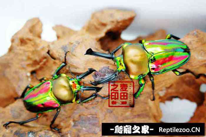 155643d13ayatpd9y84ypp.jpg