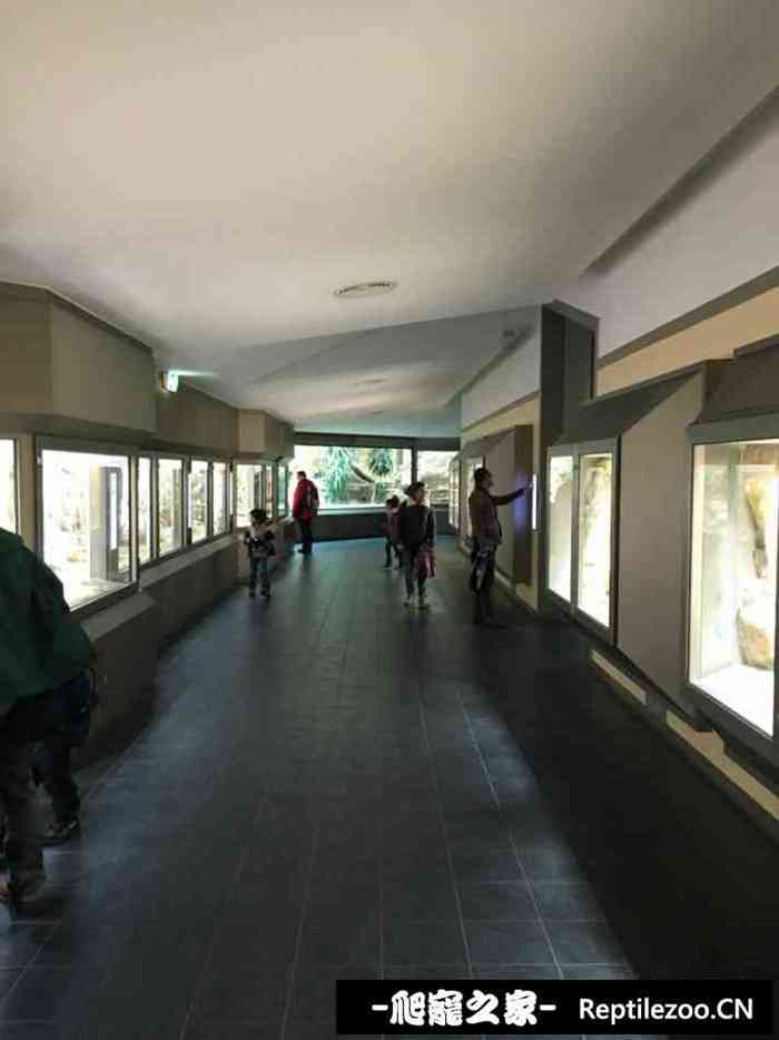 160221azx8xdncfqccq7du.jpg