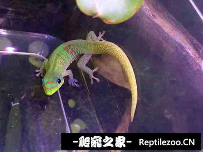 160505b558cts111ws1ttq.jpg