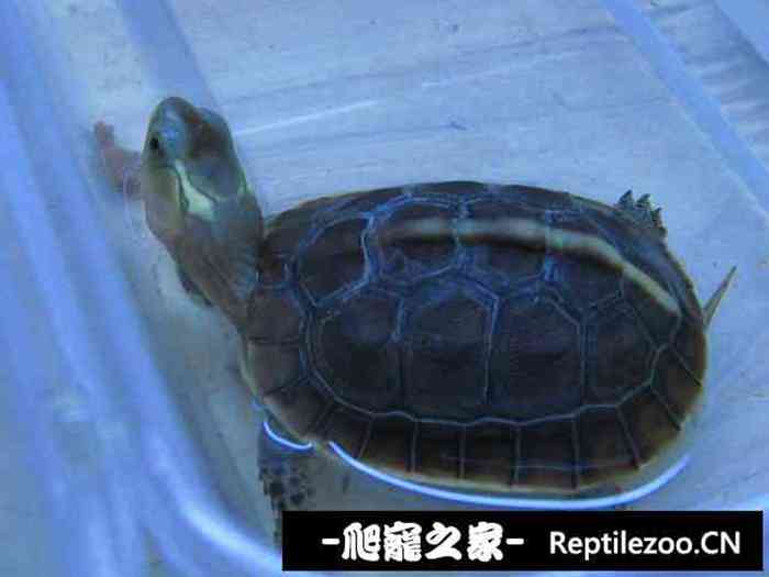 161437lhh3sh4hjz31l31z.jpg