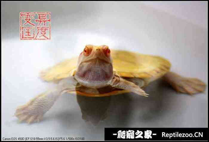 161608hahahmwcoop73c1a.jpg