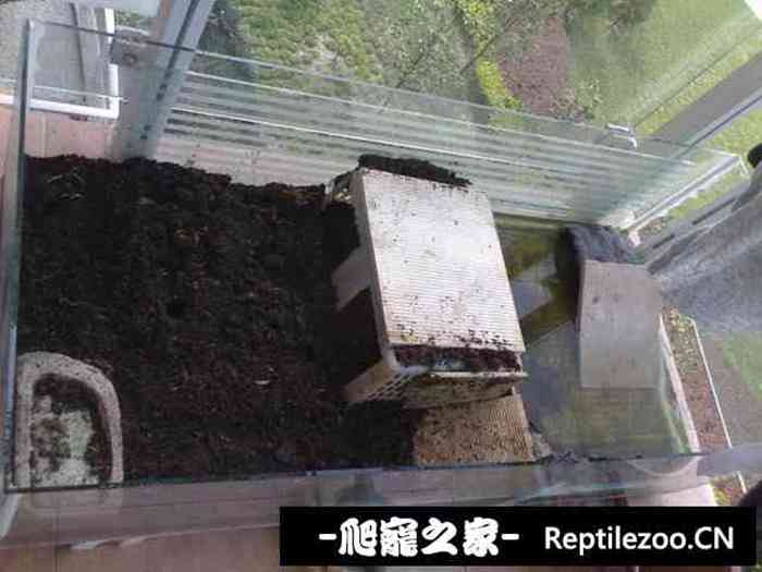 161922ikf5s9f197yfetjp.jpg