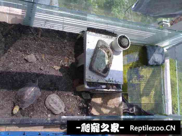 161923uuo3pf52zp2328jp.jpg