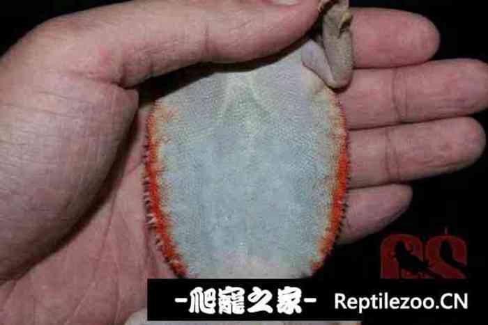 173012zsfsckf0kf8fsqrc.jpg