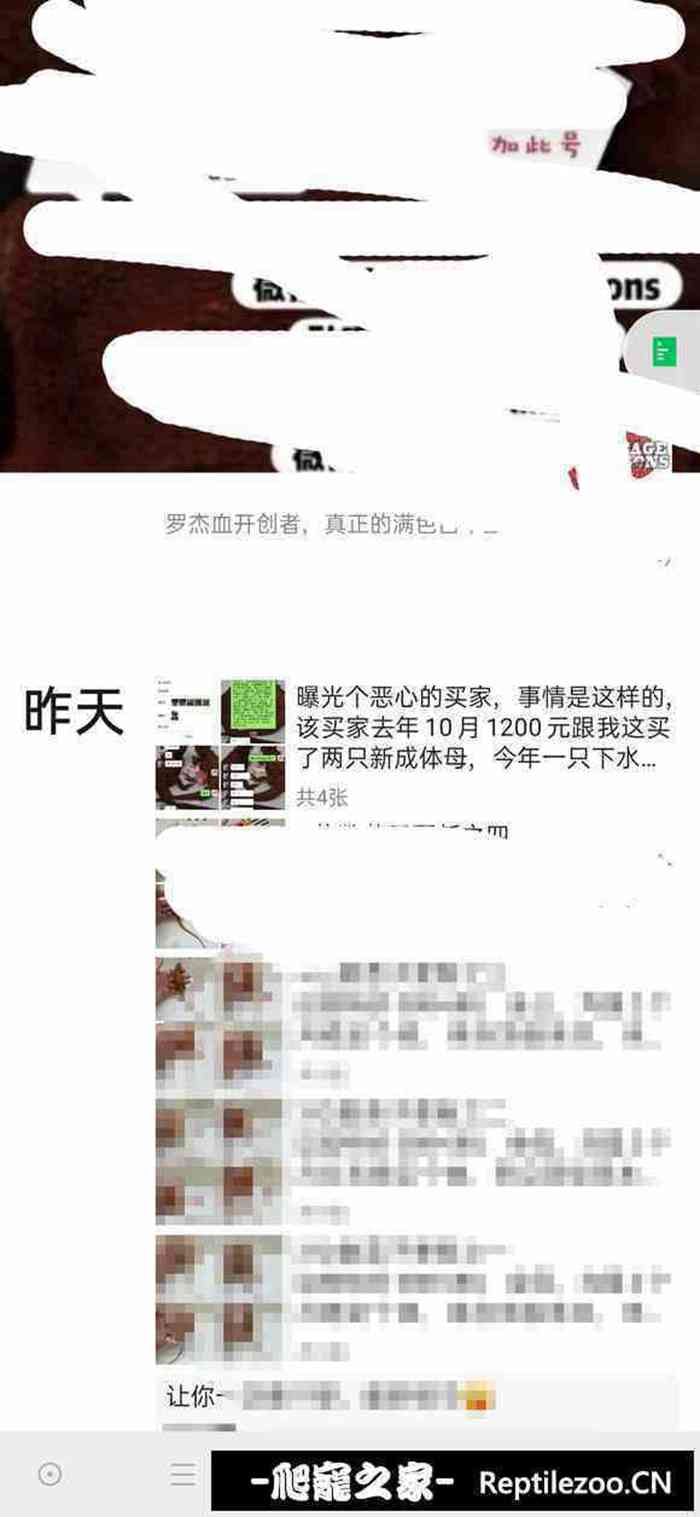 192533s7ow5ox3wk6kehg2.jpg