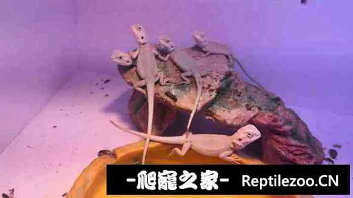 193430vn5qj1jcd5hrxd4z.jpg
