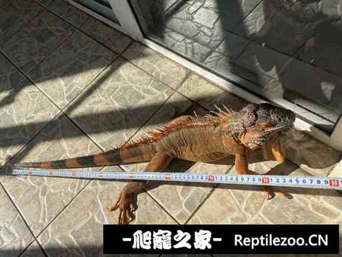 200439g4bx3zg4jjasqxzq.jpg