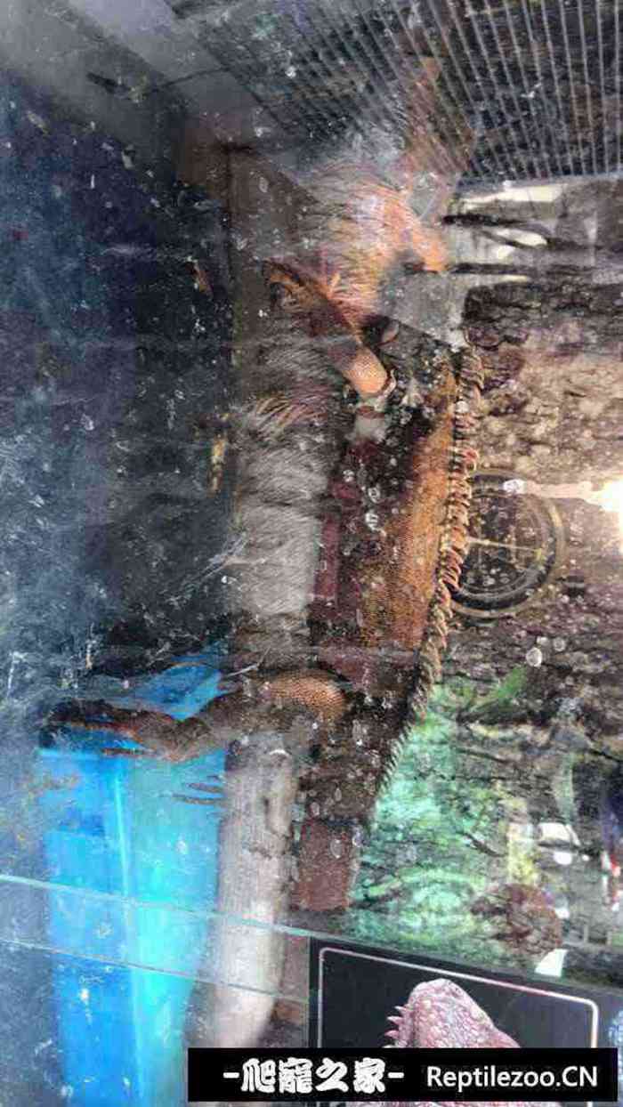 200703gcpfqtvb50q7vjuf.jpg