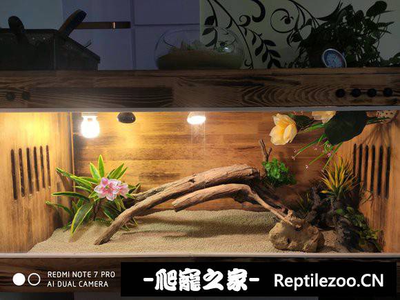 003303j5s7o1vih11qaoo7.jpg