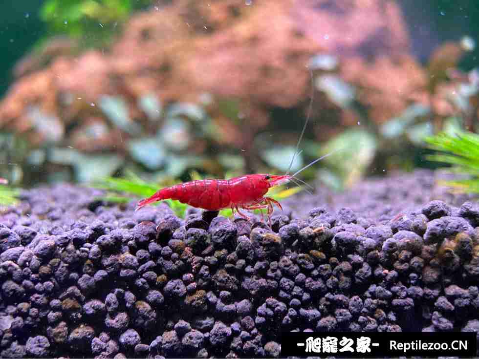 005010jsz11i1nsy1hk1g1.jpg