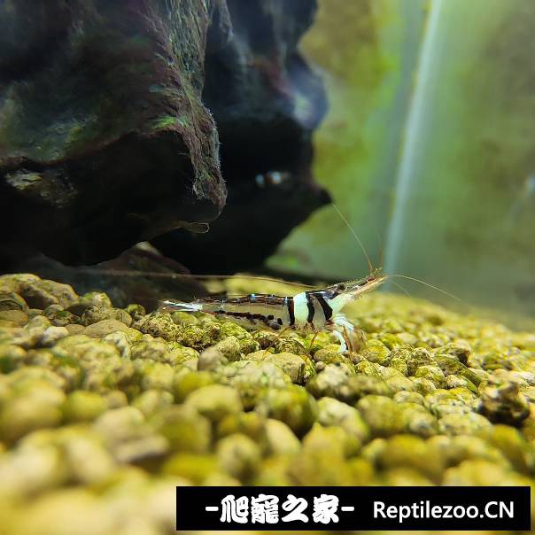 005337qnt78h2vk8p9vt27.jpg