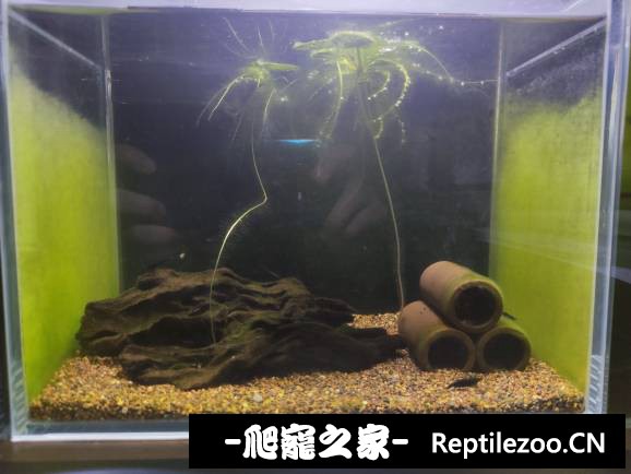 005949hb6zubm12mw6bnbr.jpg