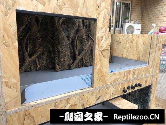 045047avhtbgtztcm66q8c.jpg