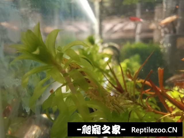 045922neppw0or2hhrok0v.jpg