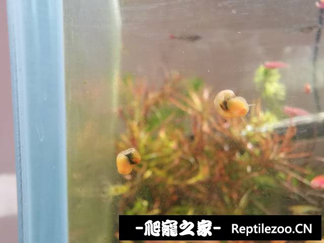 045923a5g25550cgzw02jo.jpg