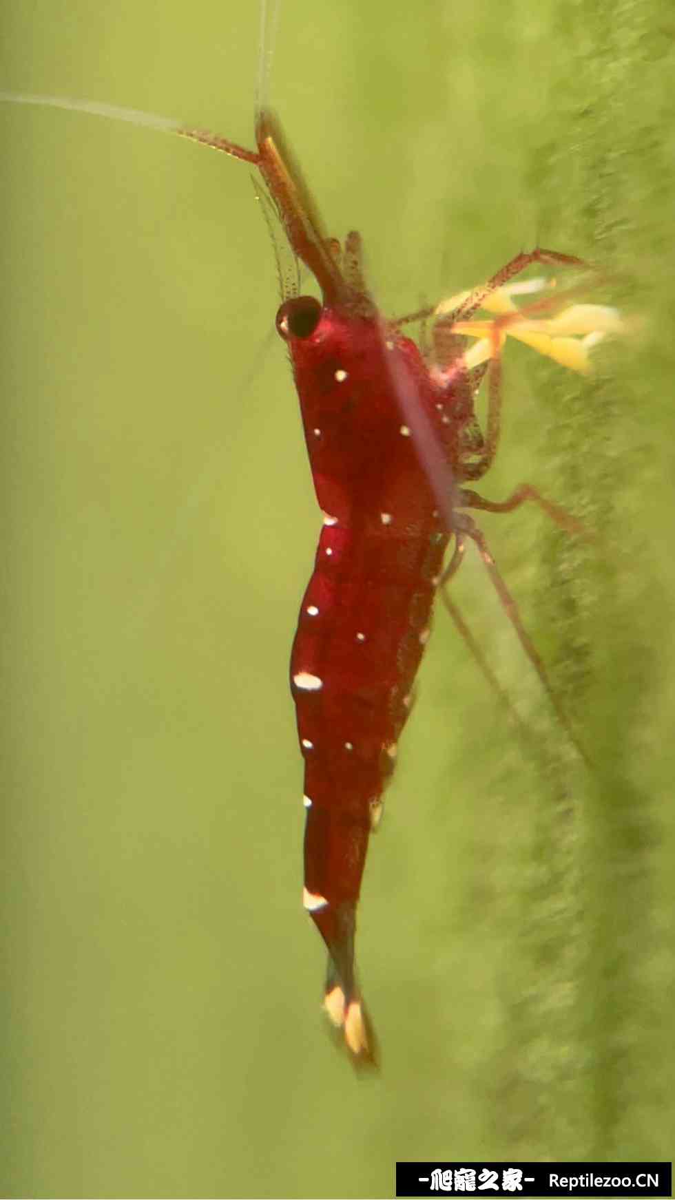 061003f900az2iekajv699.jpg