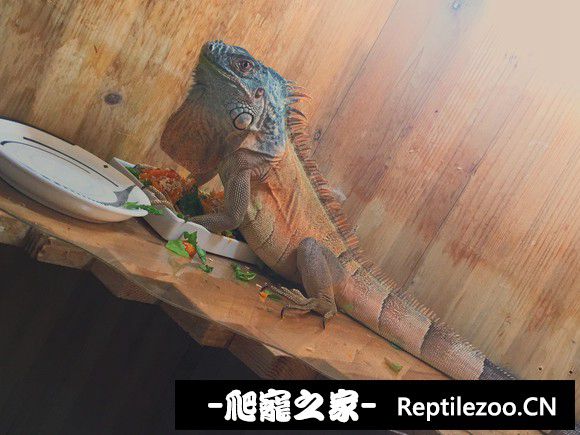 062625intkcd54d475s6dk.jpg