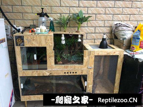 081003szjrjj53pmqp2q9p.jpg