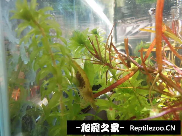091829q5p5pxzsupql9b1p.jpg
