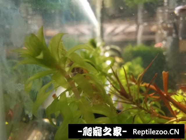 091829zt1tnnqqy6858vfy.jpg