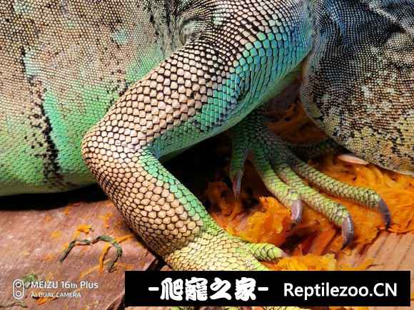 124628b06hhza224rdohmz.jpg