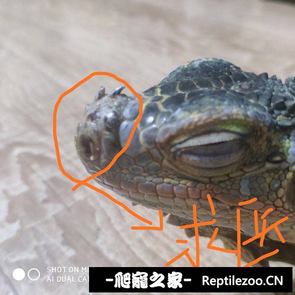 132150rfwzkkwxlzklrbft.jpg