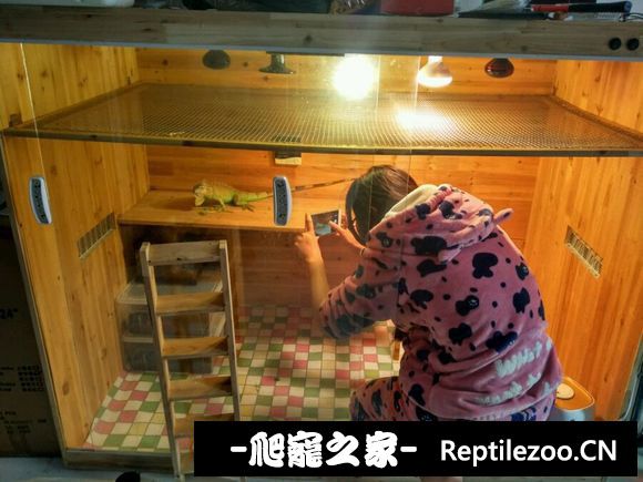 163519djn4yyd714nyzy9d.jpg