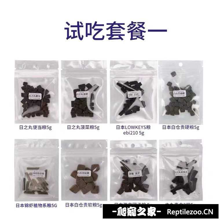 174022e4qjrdrrtbywooju.jpg